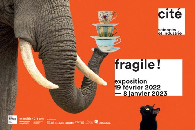 exposition-enfants exposition sur la fragilité à la cité des sciences